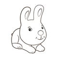 Animals, coloring book for kids. Black and white image, rabbit .